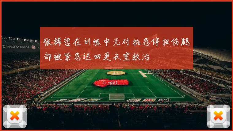张稀哲在训练中无对抗急停扭伤腿部被紧急送回更衣室救治