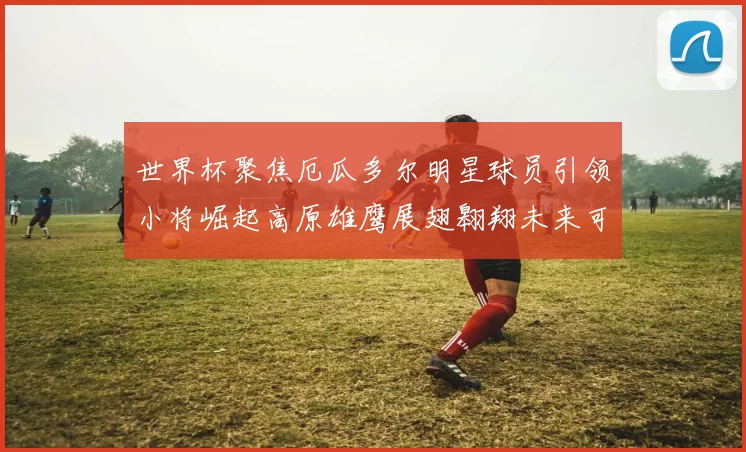 世界杯聚焦厄瓜多尔明星球员引领小将崛起高原雄鹰展翅翱翔未来可期