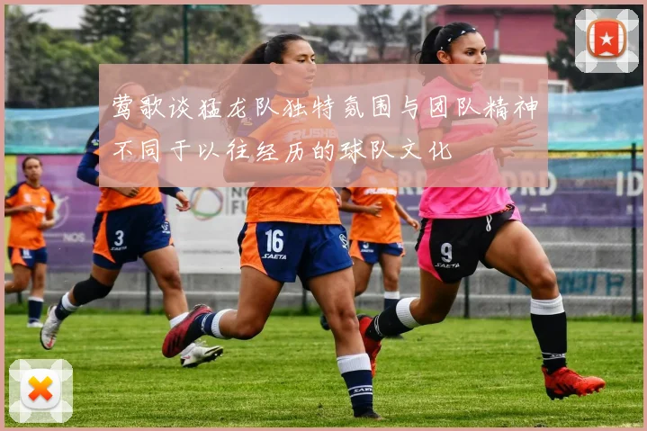 莺歌谈猛龙队独特氛围与团队精神不同于以往经历的球队文化
